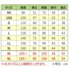 《新型オリジナル》給食白衣 割烹着C型 605 (90-3L）