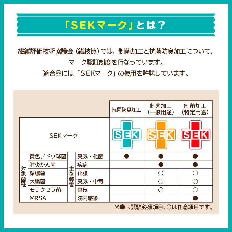 【制菌ノーアイロン】給食袋　608-0　Fサイズ