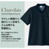 ストライプVネックTシャツ 男女兼用[7054/シャロレー]（4L-5L）
