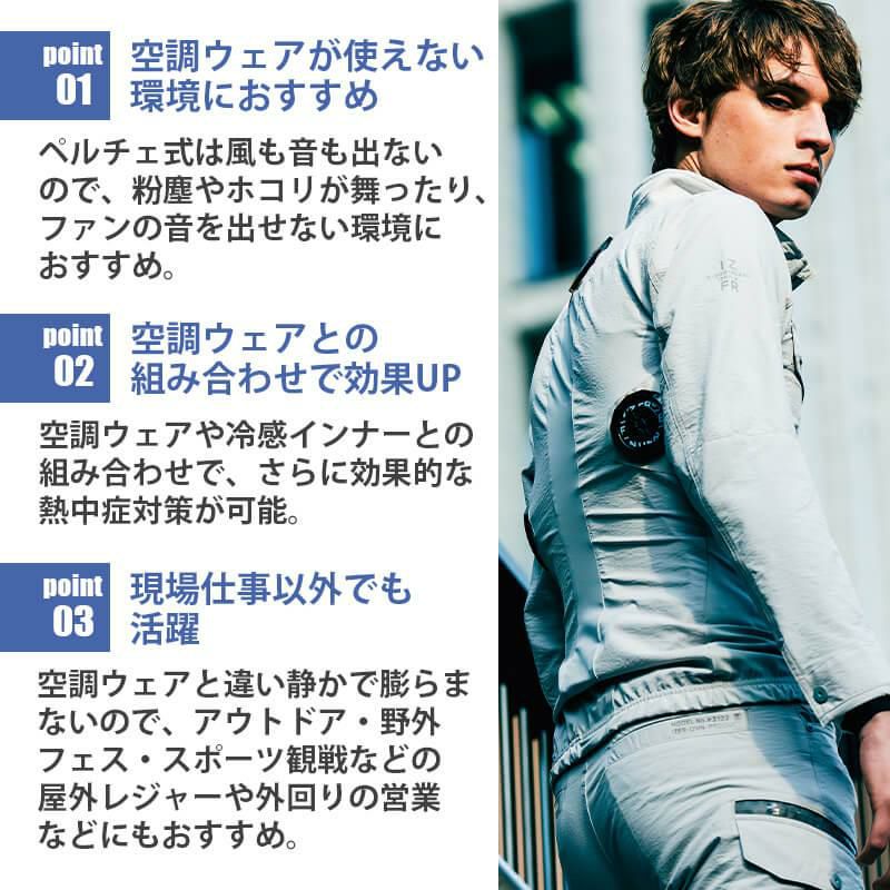 アイズフロンティア 100&PS101&90018 ペルチェ M 3点セット① アイズ